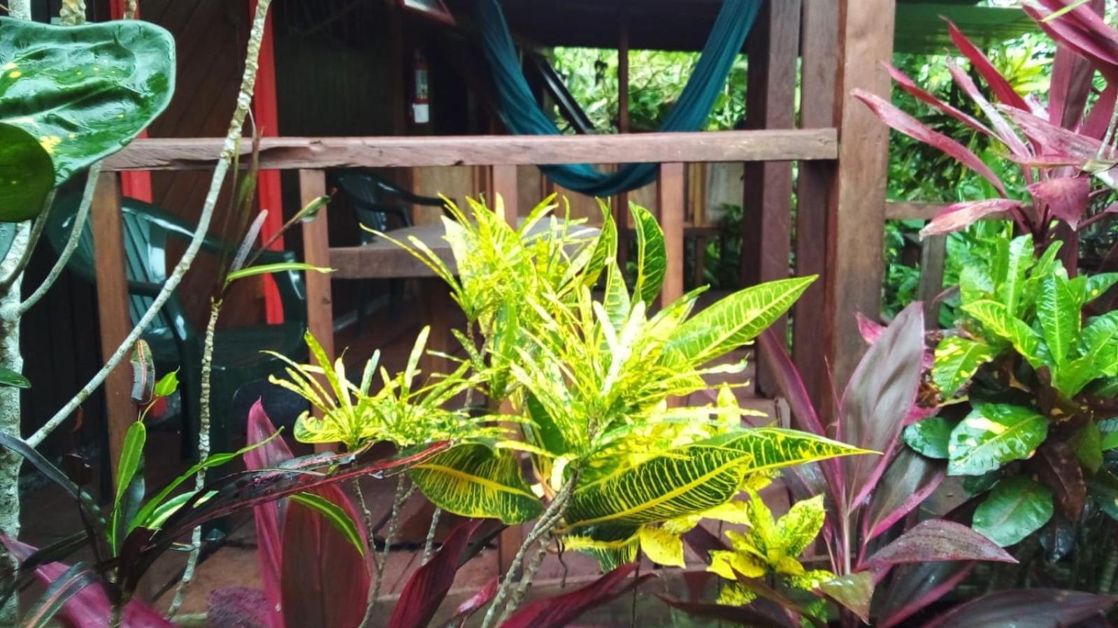 芙蓉谷酒店 Marigot 外观 照片